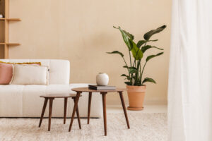 Creatieve daglichtstudio