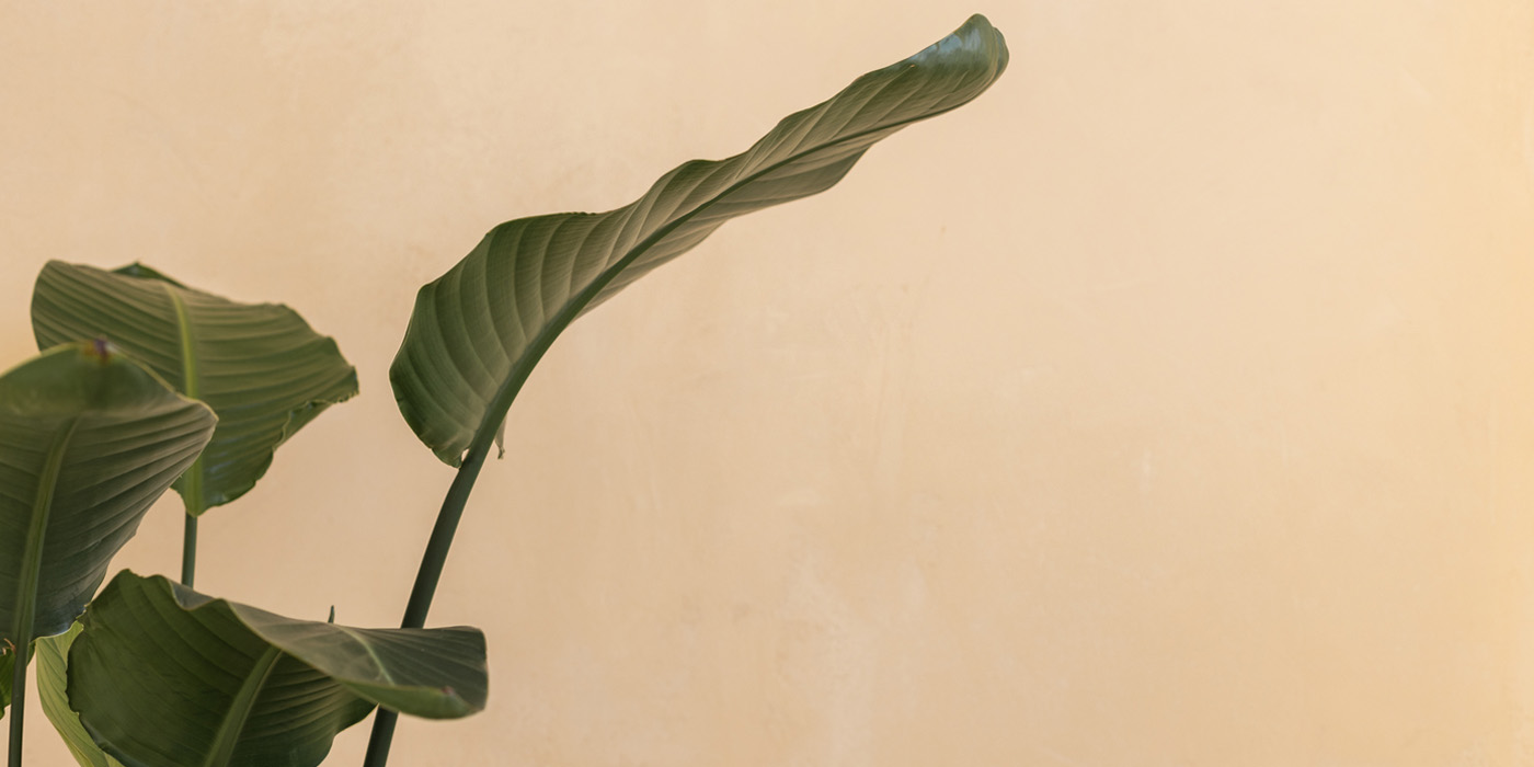 Homepage banner 1